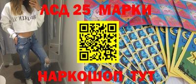 шишки Гатчина