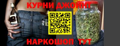 шишки Гатчина