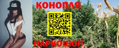 каннабис Гай