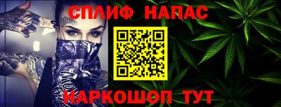 шишки Гатчина