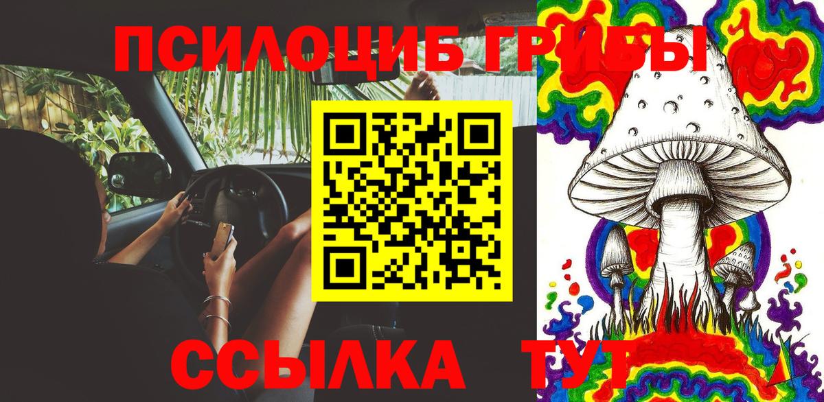 Псилоцибиновые грибы Psilocybe  Рязань 