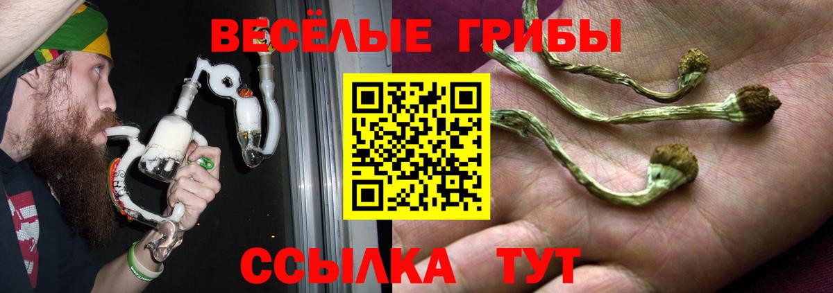 Рязань  Псилоцибиновые грибы мухоморы  Вход с VPN 
